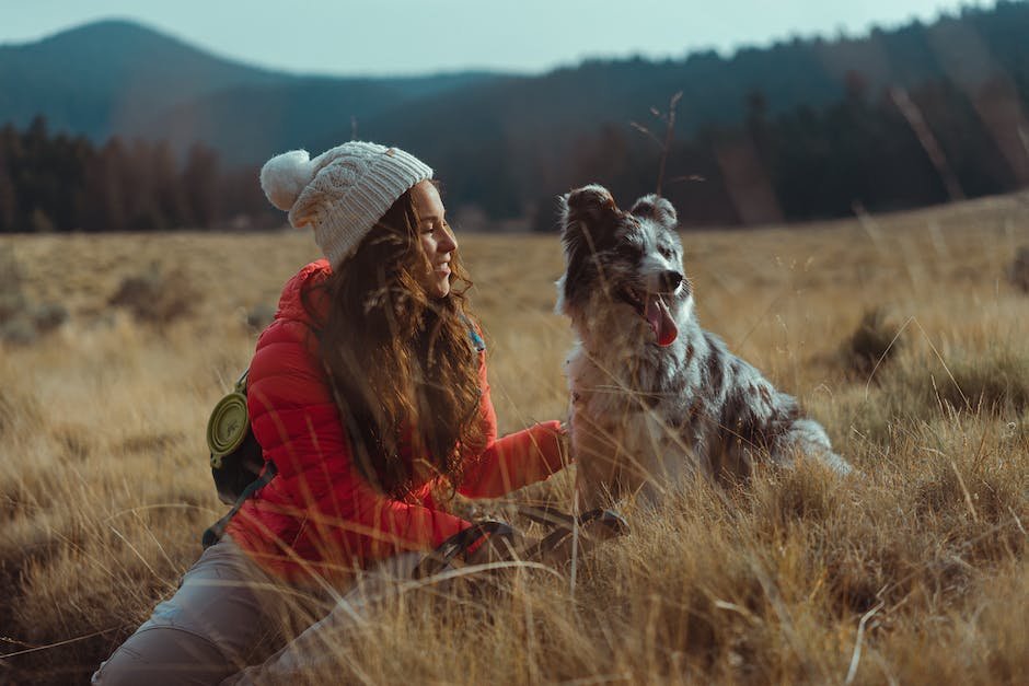 How to Use Pets for Emotional Support in Remote Work