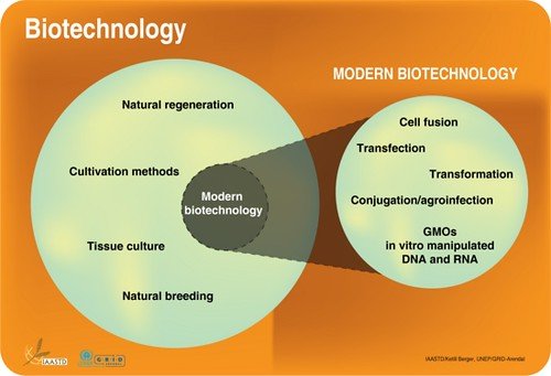 The Role of Biotechnology in Remote Work
