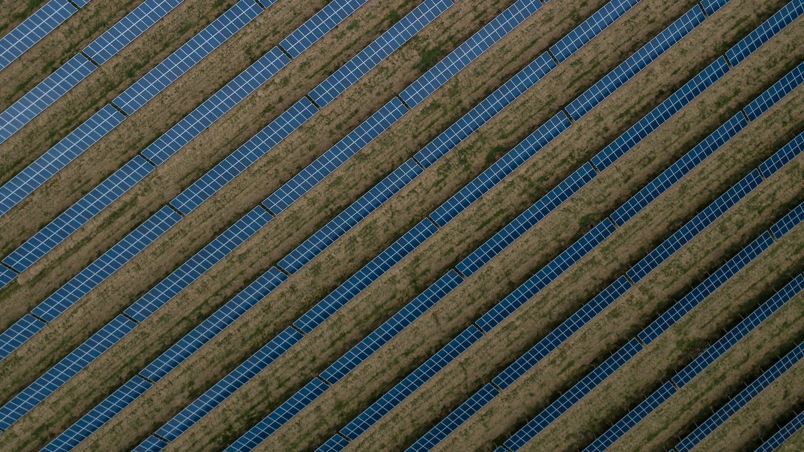 Harnessing the Digital Landscape: Leveraging Technology to Build a Renewable Energy Farm