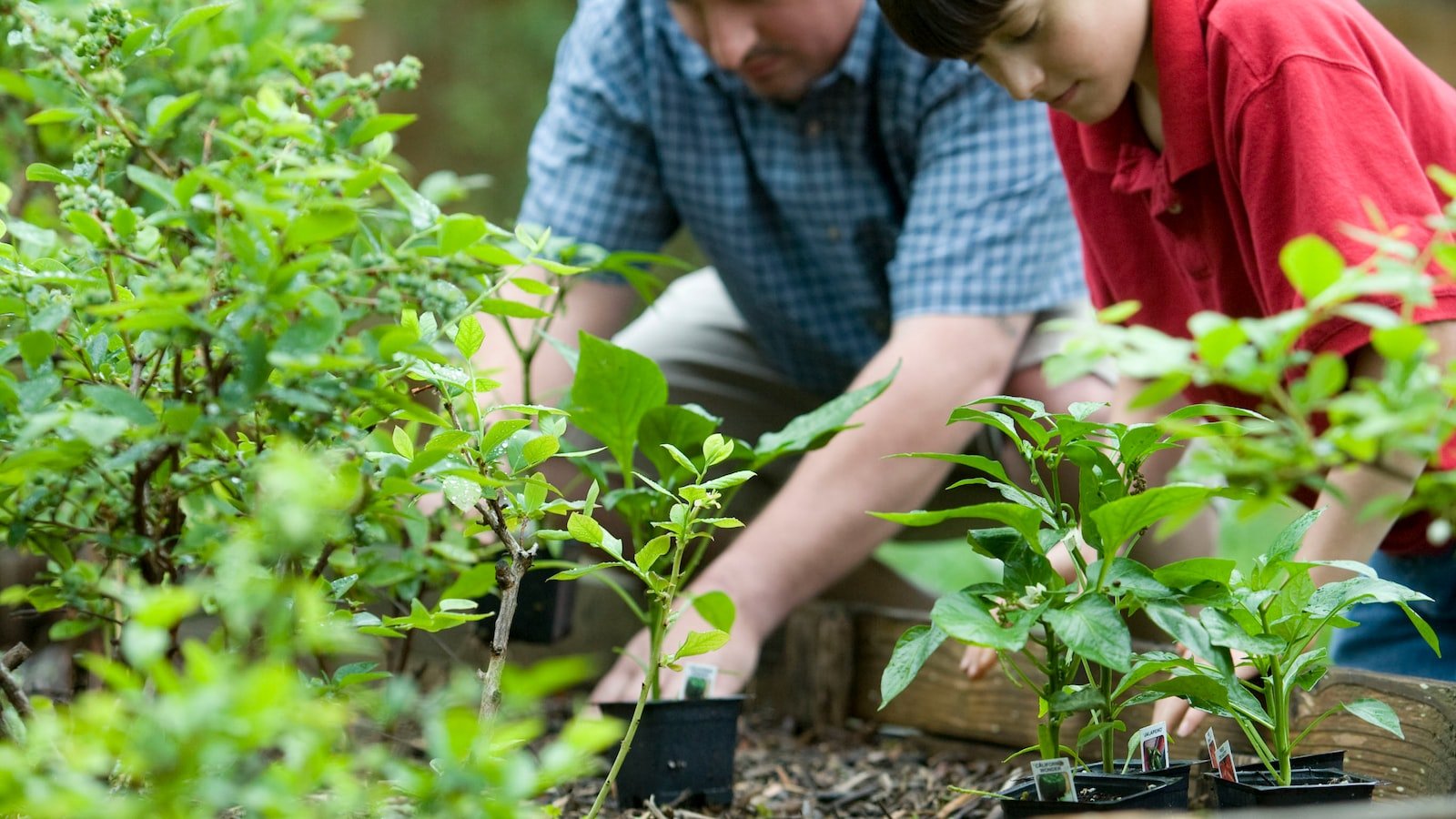 The Environmental Impact⁢ of​ Remote Work